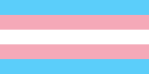 2000px-Transgender_Pride_flag
